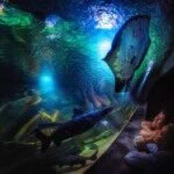 wycieczka fakultatywna